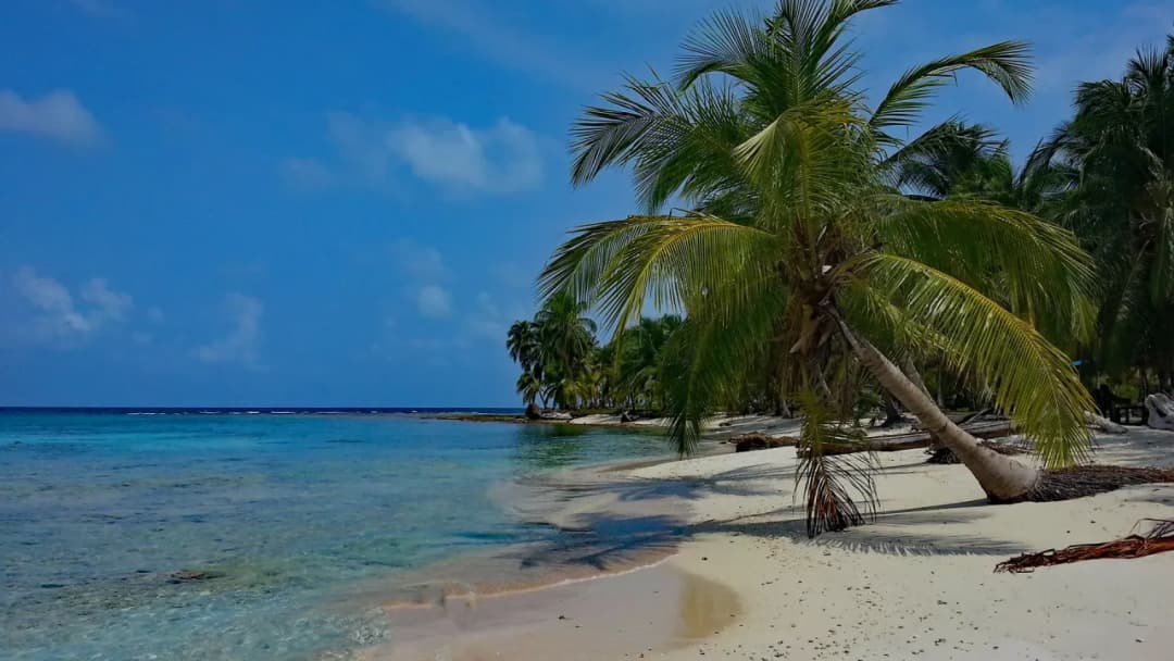 Vacaciones Punta Cana: Las Mejores Actividades y Alojamientos Imperdibles